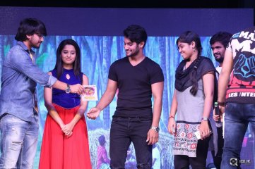 Seethamma Andaalu Raamayya Sithraalu Platinum Disc Function